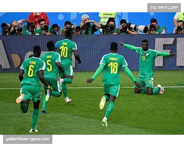 I组成真正死亡之组 法国挪威塞内加尔附加赛队混战 I组成真正死亡之组 法国挪威塞内加尔附加赛队混战